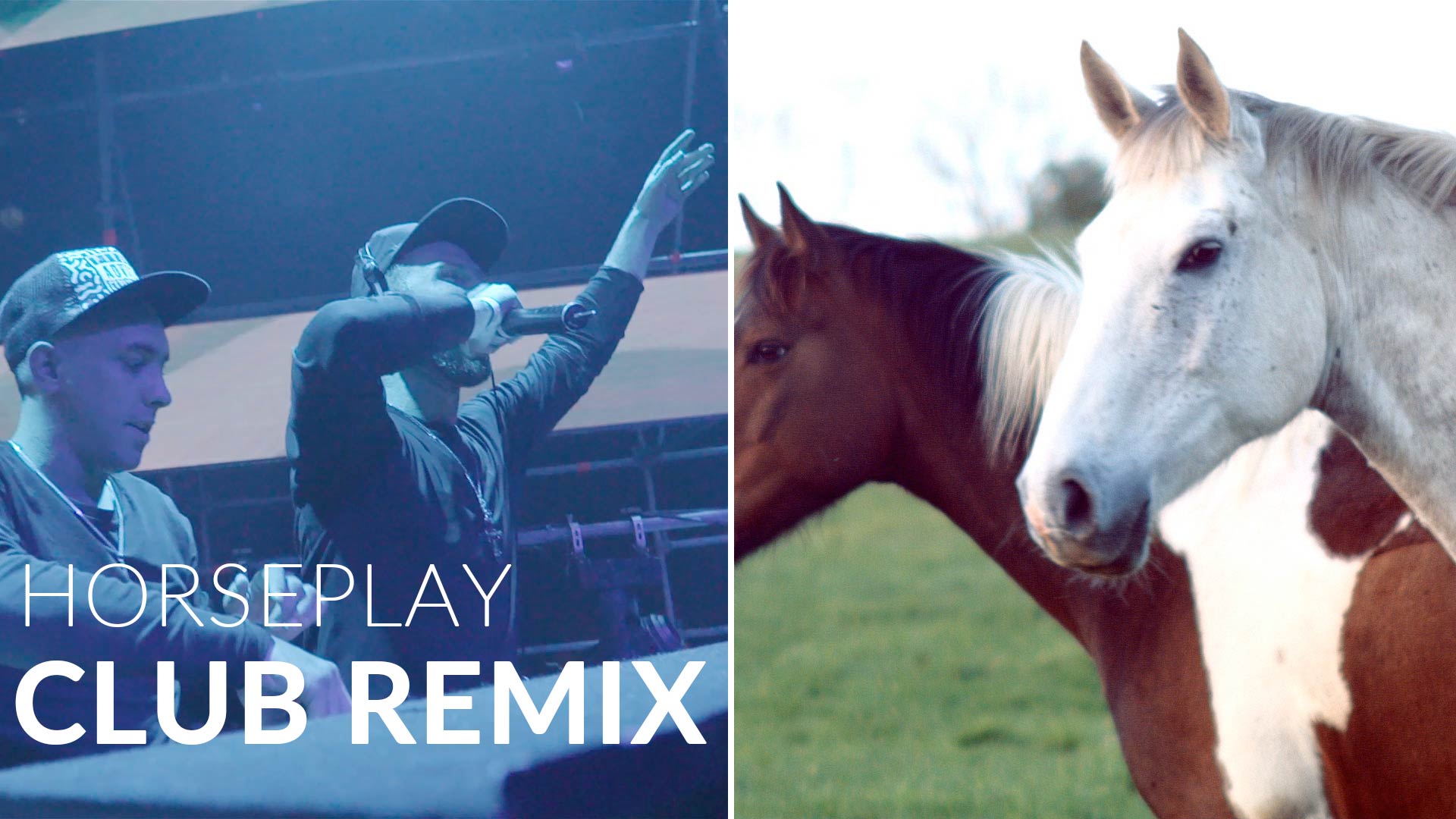 Horseplay Blackrock Club remix