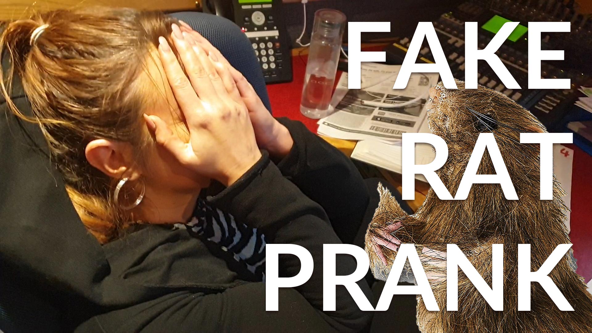 Fake Rat Prank Saoirse