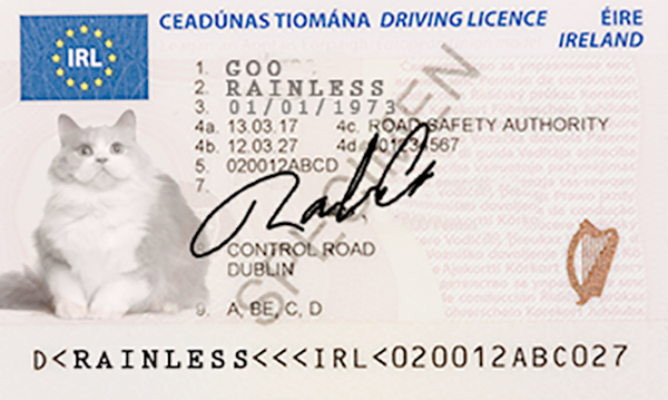 Rainless Goo Drivers License